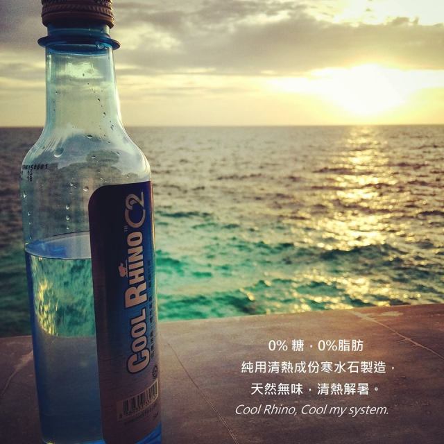 Cool rhino seaview.jpg